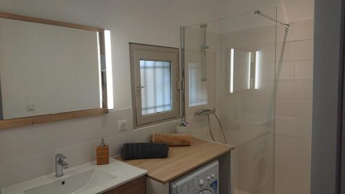 Un baño con ducha, lavabo y espejo. en Dojo avec gîte tout confort dans nature ardéchoise, en Tournon-sur-Rhône