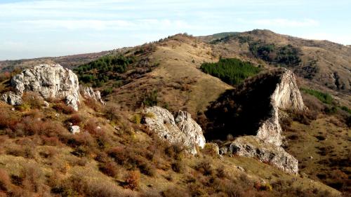 a view of a mountain with trees and rocks at Hotel Aleksievata Kashta in Gurgulyat