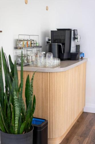 a counter with a coffee maker and a plant at Enchanted Eight at Dimensions - Cabin Eight in Algonquin Highlands