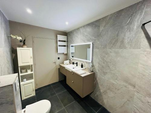 une salle de bain avec un lavabo, des toilettes et un miroir dans l'établissement Latelier du Centre Cathédrale, à Reims