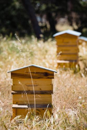a wooden bird house sitting in the grass at Le Hameau Des Pesquiers Ecolodge & Spa, Curio Collection By Hilton in Hyères