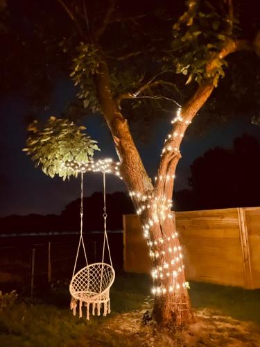 a swing hanging from a tree at night at Le Temps d'une Nuit 
