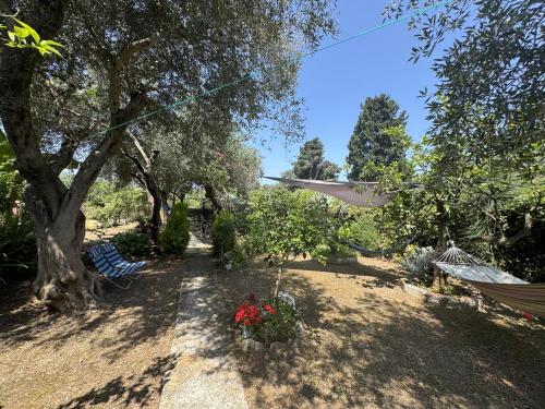 a garden with a hammock and trees and a hammock at Ilias in Paramonas