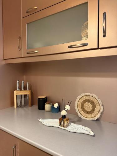Polisi i VogëlにあるAb apartamentのタオルが置かれたカウンタートップのあるキッチン