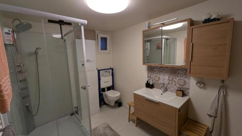a bathroom with a shower and a sink and a toilet at Le Sly to Sky in Theux