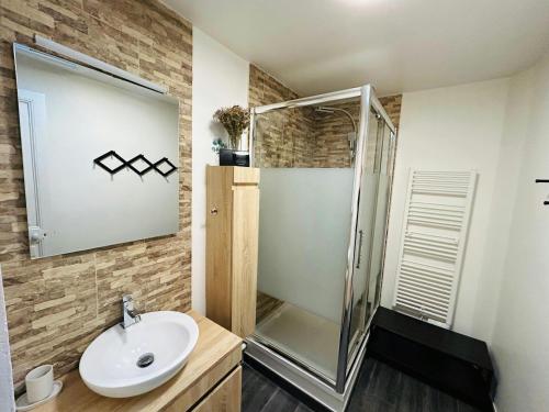 une salle de bain avec un lavabo et une douche dans l'établissement Le Millésime Carnot Cathédrale, à Reims