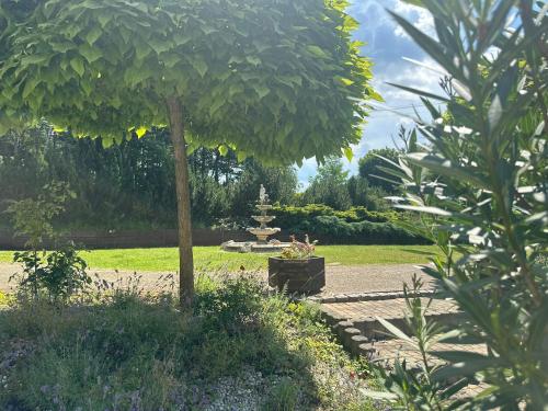 a garden with a tree and a fountain in a park at Hotel Dudek in Mniów