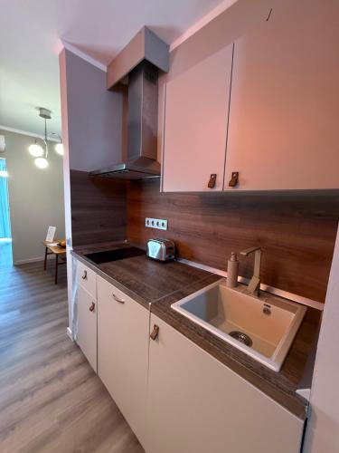エゲルサロークにあるFonte Salis Apartmanのシンクとカウンタートップのあるキッチン