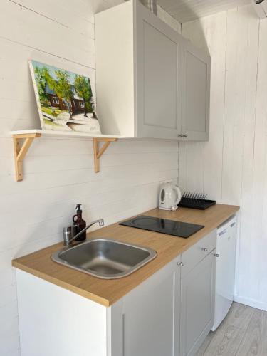 Dapur atau dapur kecil di Sodyba Monciškės