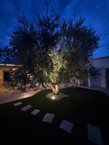 a tree with lights on it in front of a building at La linea dell'orizzonte in Alberobello