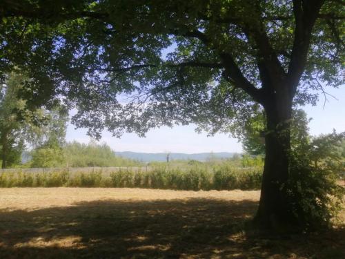 Billede fra billedgalleriet på Orizzonte - Castiglione del Lago i Piana