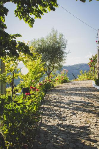 a stone path with flowers on the side at Casa do Romezal in Peso da Régua
