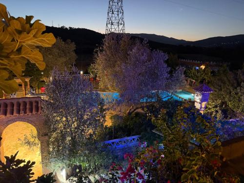 a view of a garden at night with trees and flowers at Auberge Alwahabi in Chefchaouene