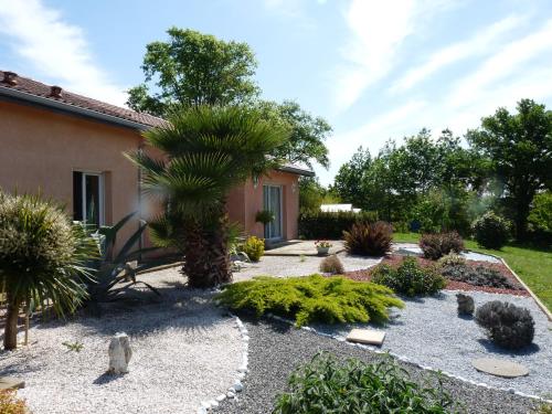 einen Garten mit einer Palme und einigen Pflanzen in der Unterkunft Maison Bel Air in Pimbo