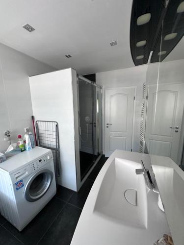 a bathroom with a washing machine and a sink at SeeZeit Friedrichshafen in Friedrichshafen