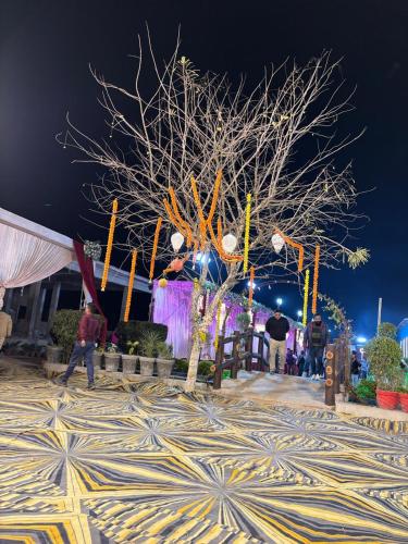 a tree in the middle of a park at night at Utsav Vatika in Ayodhya