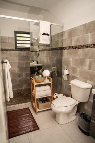 a bathroom with a toilet and a shower and a sink at Ocean Sunset Retreat in Philipsburg