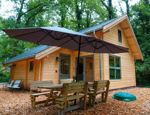a wooden cabin with a picnic table and an umbrella at Jesse's Log Cabin in Norg