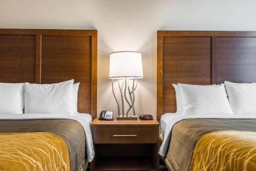 a hotel room with two beds and a lamp at Comfort Inn & Suites Valdosta I-75 in Valdosta