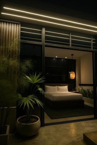 a bedroom with a bed and a potted plant at Hostel43 in Estación El Salto