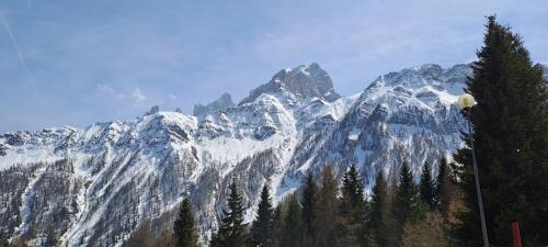 einen schneebedeckten Berg mit Bäumen davor in der Unterkunft La Tana della Volpe, Falcade - BL in Falcade