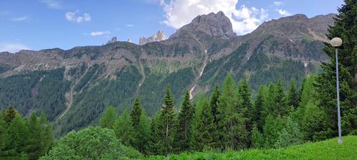 eine Bergkette mit Bäumen und einem Lichtmast in der Unterkunft La Tana della Volpe, Falcade - BL in Falcade