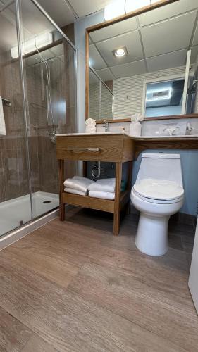 a bathroom with a toilet and a sink and a shower at Split Rock Resort in Lake Harmony