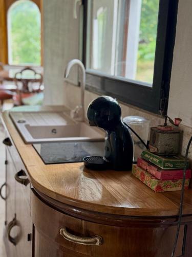 a kitchen counter with a sink and some books at Conăcel între Vulcani 