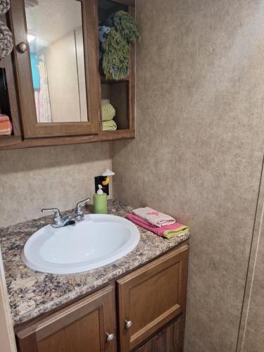 un bagno con lavandino e specchio di Tiny Trailer happy hole in the wall a Orlando