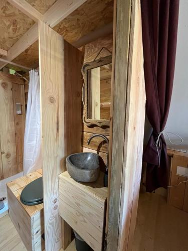 a bathroom in a tiny house with a sink at La Cabane de l'Orpailleur in Gravières