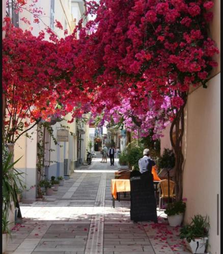 Akon Nafplio room II