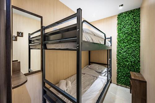 Habitación con 2 literas y una pared verde. en Heart of the city Hostel, en Varna