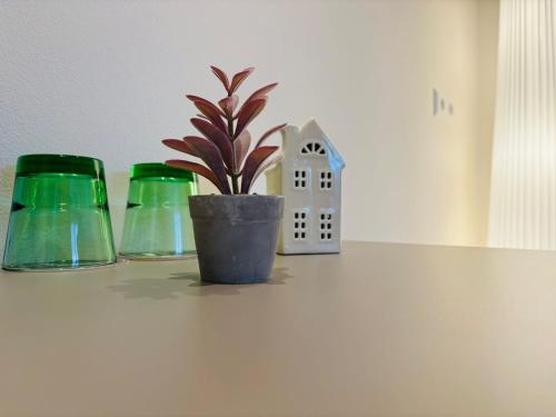 a plant in a pot on a shelf with green glasses at Der Schumi Landgasthof in Reipersdorf