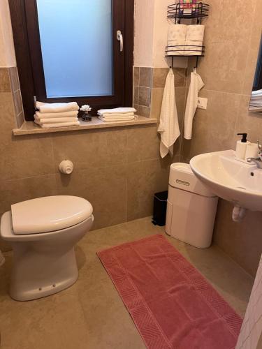 a bathroom with a toilet and a sink at Lago Maina Appartamenti in Sauris