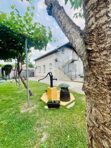 a tree with a water fountain next to a building at Surčin Grape Vine Apartments in Surčin