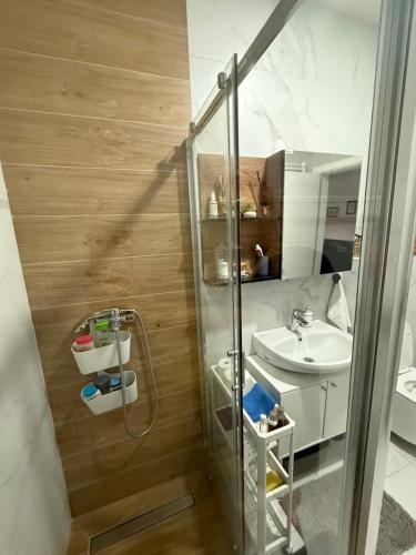 Vannituba majutusasutuses Ria apartman