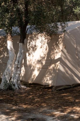Φωτογραφία από το άλμπουμ του Camping Chania  στο Κάτω Δαράτσο