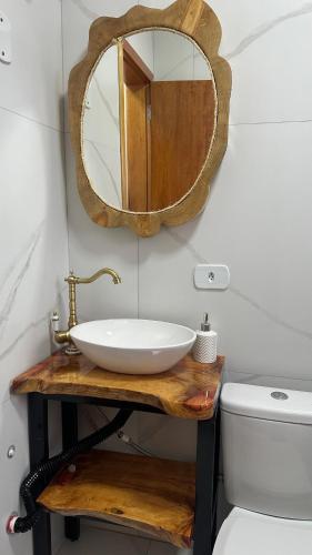 a bathroom with a sink and a mirror on the wall at Frank Haus Hospedaria in Treze Tílias