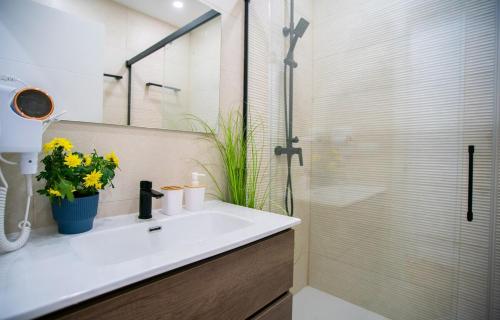 Urban living at Malaga Center
