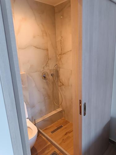 a bathroom with a shower and a toilet at ARETI in Nafplio