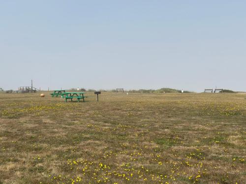 a green picnic table in a field with flowers at Tillicum Beach Motel - Formerly Deane's Oceanfront Lodge in Yachats