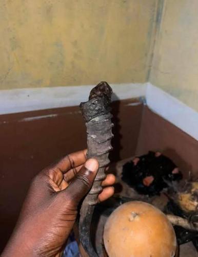 a person holding a snake in a box at The best powerful spiritual herbalist in Nigeria in Kano