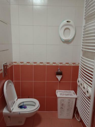Apartmán Rezidence Čertovka 2121 free parking garageにあるバスルーム