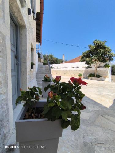 a planter with red flowers in front of a building at Studio Marianna in Oziás