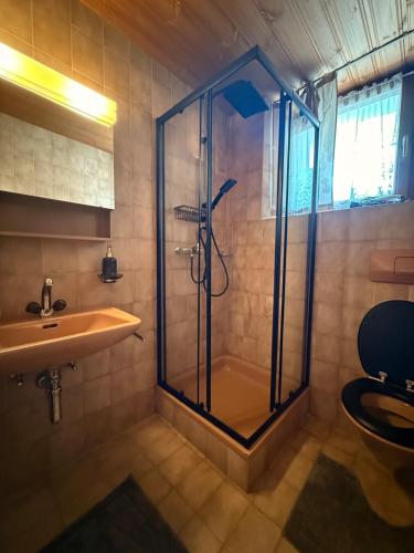 a bathroom with a shower and a toilet and a sink at Ferienwohnung mit Kamin und Balkon in Samnaun