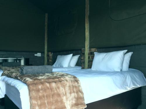 a bedroom with two beds with white sheets and pillows at Carlo's Mountain Lodge in Usakos