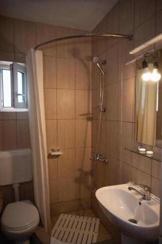 a bathroom with a sink and a toilet and a shower at Pensiunea Adonis in Arefu