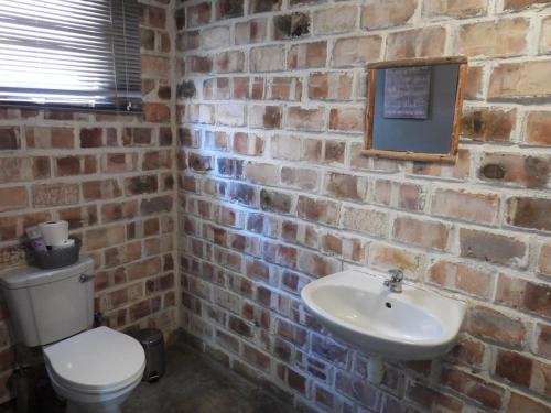 a brick walled bathroom with a toilet and a sink at Carlo's Mountain Lodge in Usakos