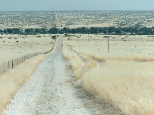 a dirt road in the middle of a field at Carlo's Mountain Lodge in Usakos