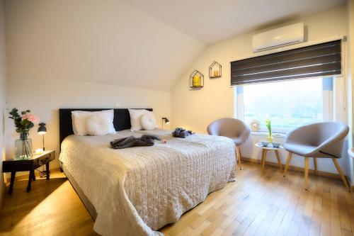 a bedroom with a large bed and a window at Villa Cecha B&b &Wellness in Ostend